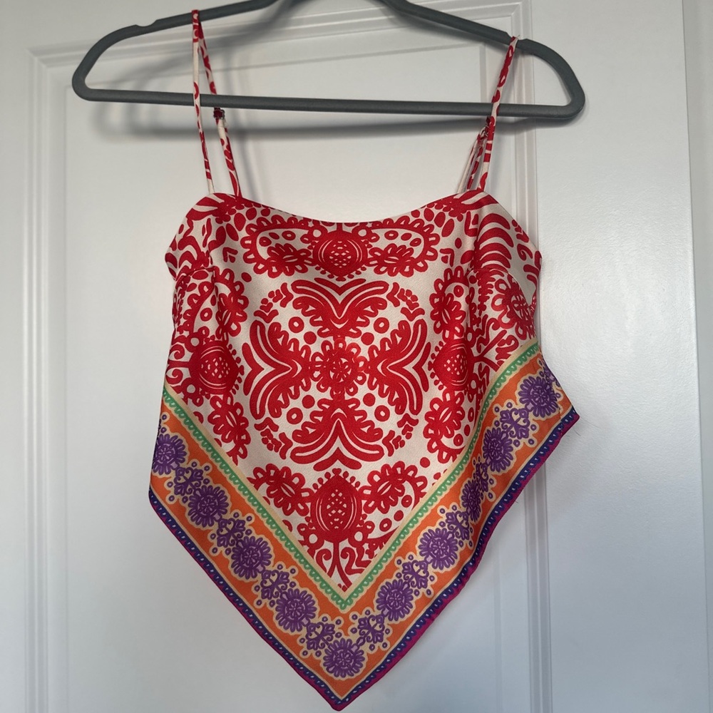 Zara Red and Purple Patterned Crop Top